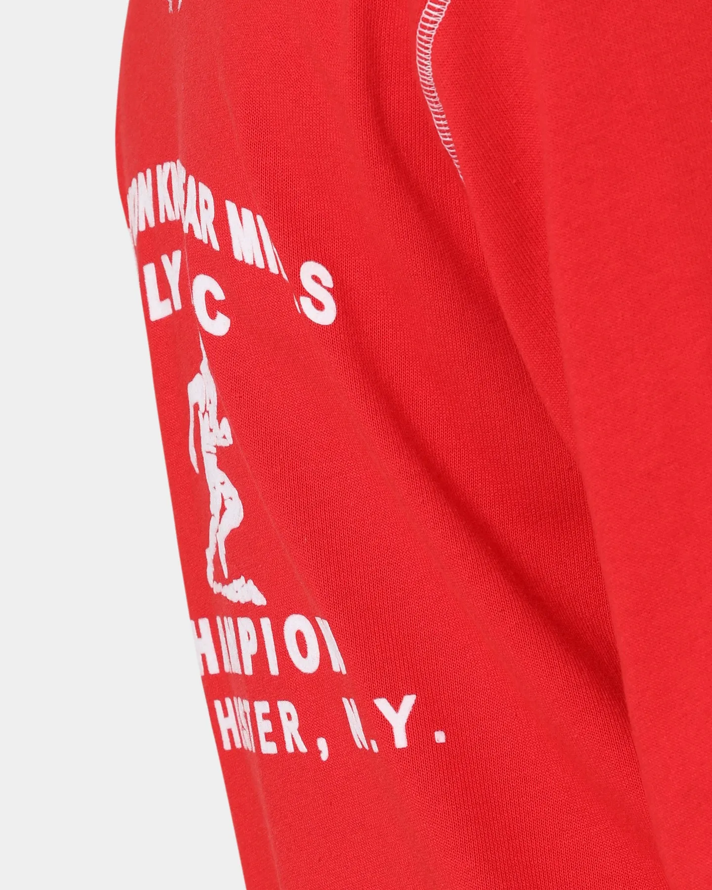 Champion Collegiate Heritage Long Sleeve T-Shirt Scarlet